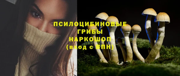 гашиш Вяземский