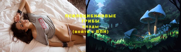 jwh Вязьма